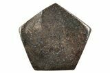 Chondrite Meteorite Cabochon ( g) #238197-1